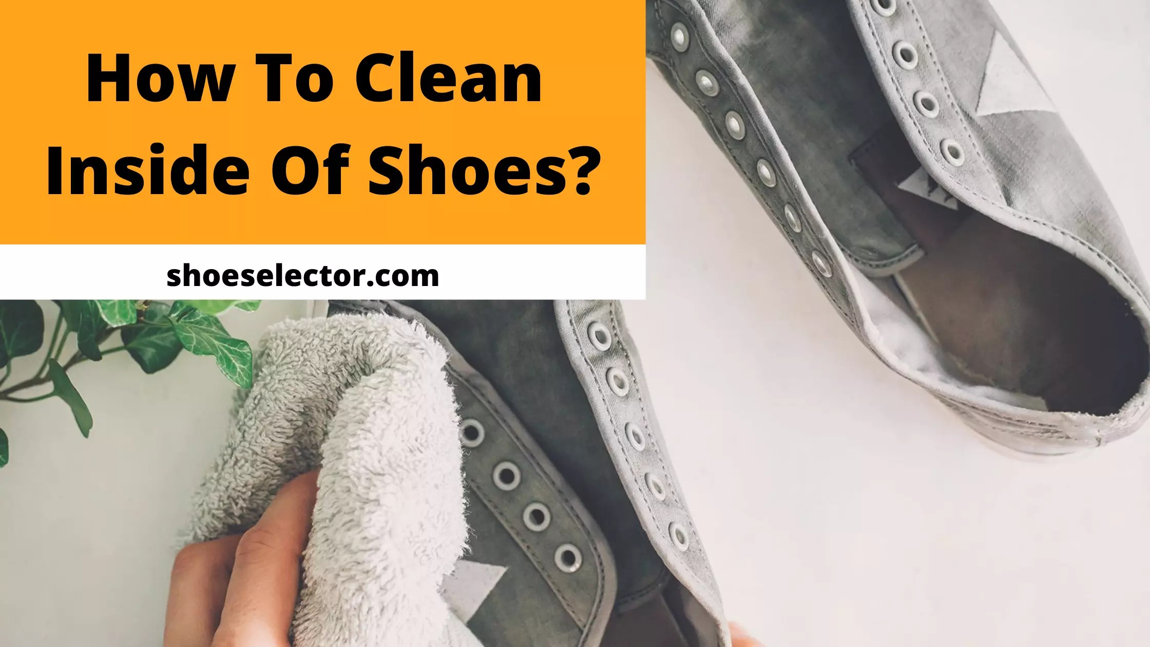 How To Clean Inside Of Shoes? Step by Step Guide 2023